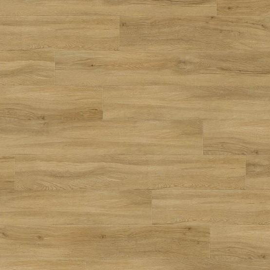 Creation 55 Rigid Lock Acoustic 0859 - Quartet Fauve