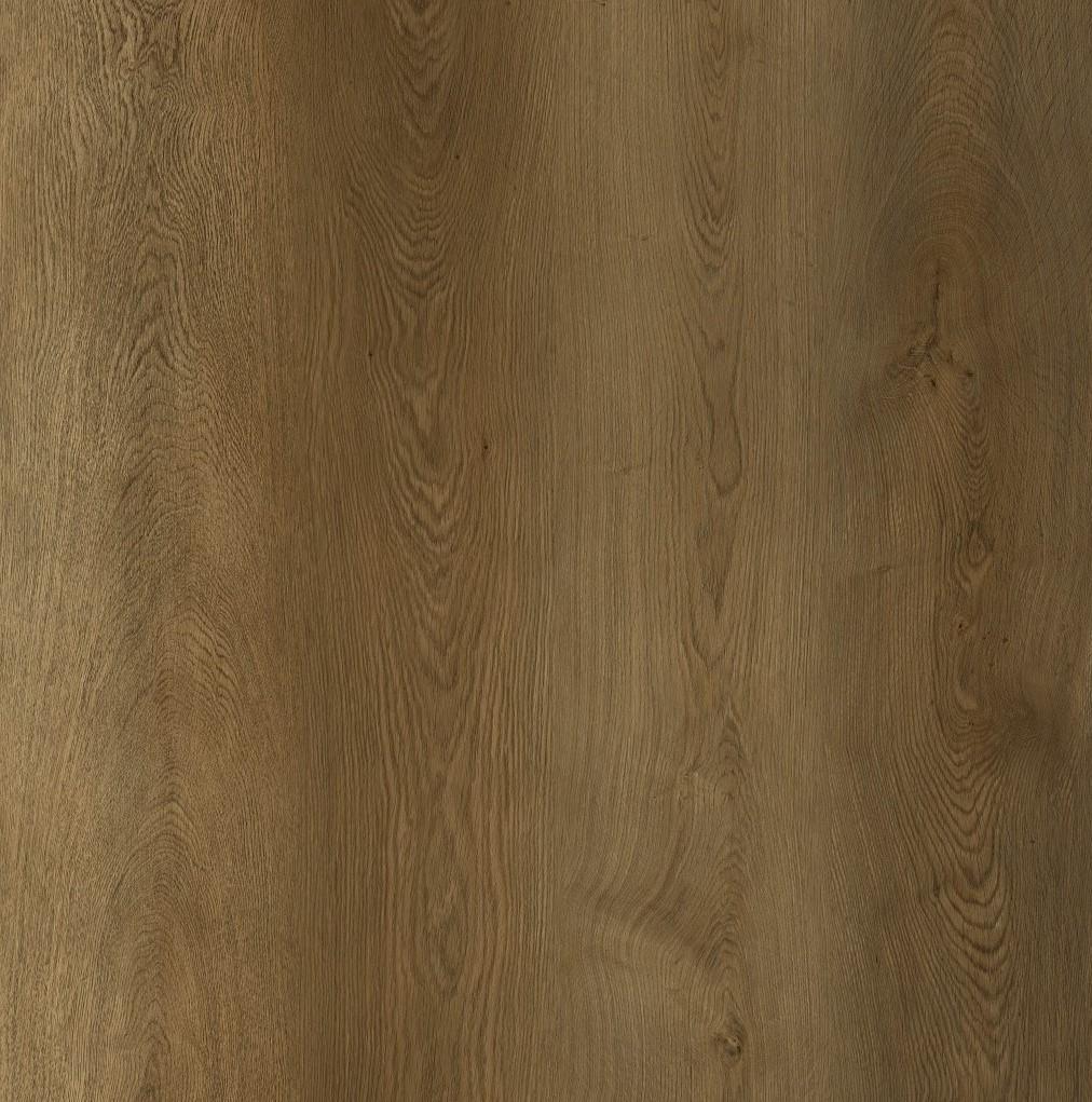SUPELLEX - Amorim Merit SPC plus - Brown Majestic Oak