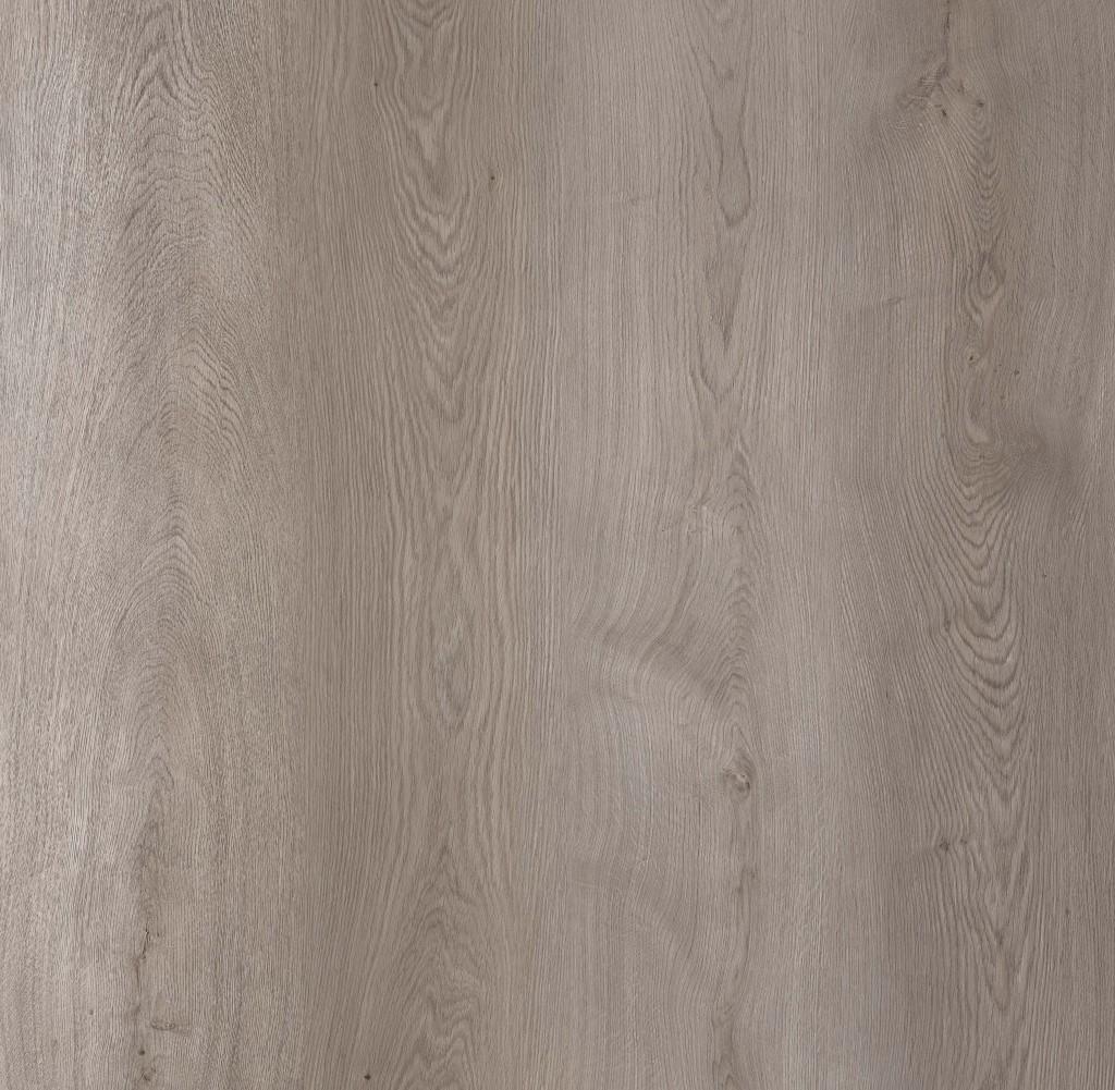 SUPELLEX - Amorim Merit SPC plus - Grey Majestic Oak